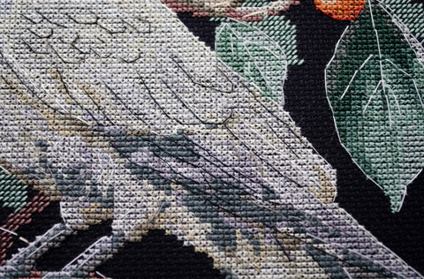 Siuvinėjimo kryželiu rinkinys „Kita grožybė“ 29x29 cm, Deco Scenes dekoras