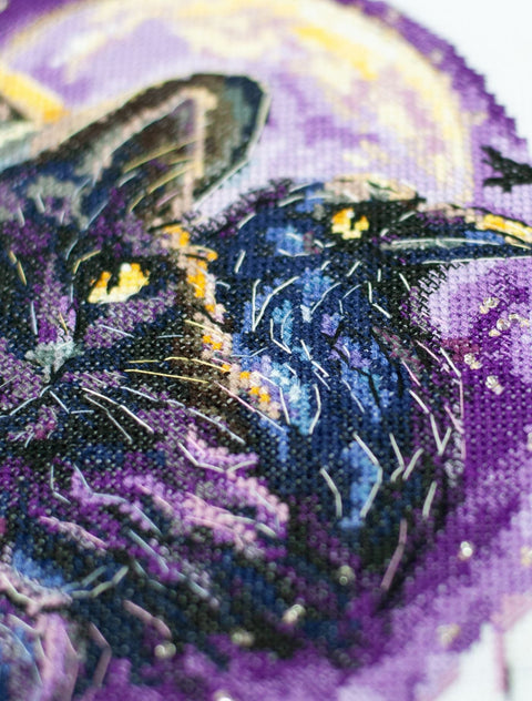 Siuvinėjimo kryželiu rinkinys „Magijos šešėliai“, 20×20 cm paveikslas, AAH-306