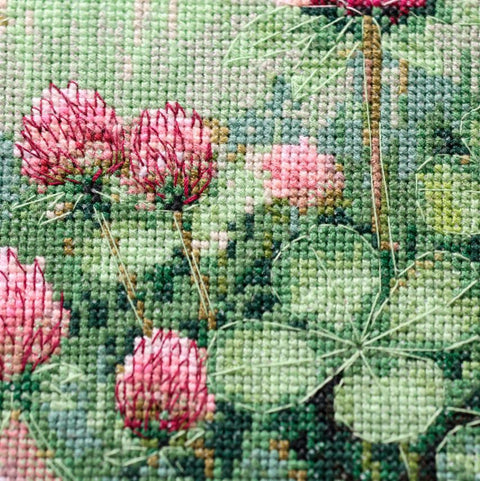 Kryželiu siuvinėjimo rinkinys „Saldus dobilas“ gėlėms, 18×26 cm, ant Zweigart Aida 14 ct drobės