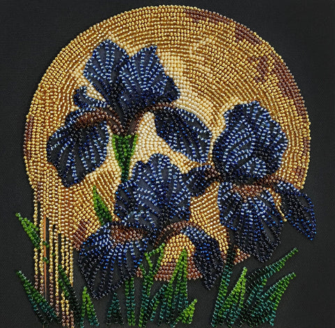 Karoliukų siuvinėjimo rinkinys „Šokis auksinėje šviesoje“, vidutinis 20x20