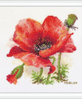 Siuvinėjimo rinkinys Aida 16 – Raudona aguona, 15×15 cm, 23 spalvos - kaSiulai.lt