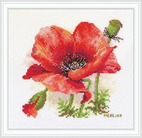 Siuvinėjimo rinkinys Aida 16 – Raudona aguona, 15×15 cm, 23 spalvos - kaSiulai.lt