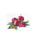 Siuvinėjimo rinkinys Andriana Apples And Hazelnut SANYA-03 26X18cm - kaSiulai.lt