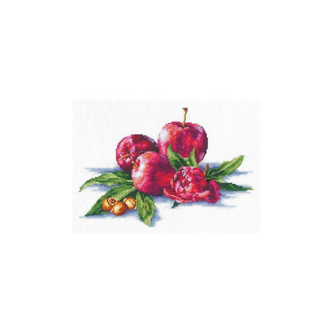 Siuvinėjimo rinkinys Andriana Apples And Hazelnut SANYA-03 26X18cm - kaSiulai.lt