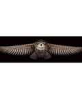 Siuvinėjimo rinkinys Andriana Owl SANS-44 85X18cm - kaSiulai.lt