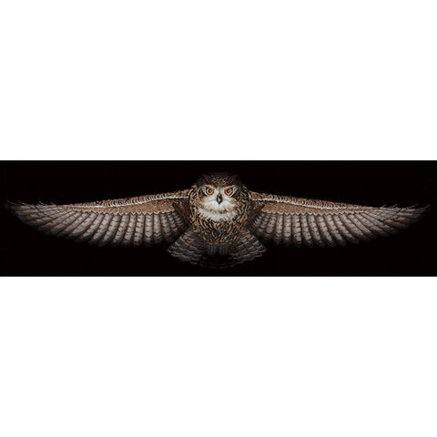 Siuvinėjimo rinkinys Andriana Owl SANS-44 85X18cm - kaSiulai.lt