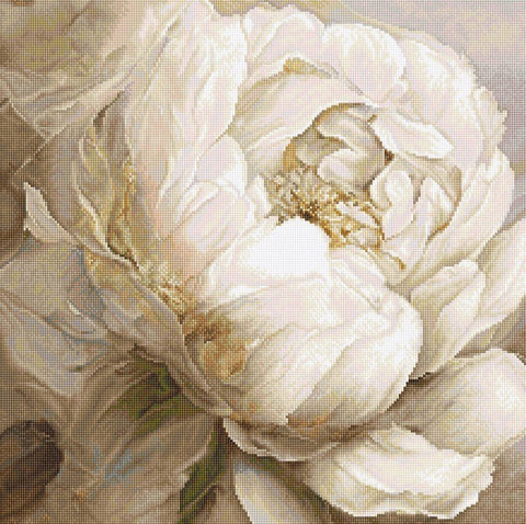 Siuvinėjimo rinkinys Counted "Peony Poses" 35x35cm SLETIL8083 - 🧶kaSiulai.lt