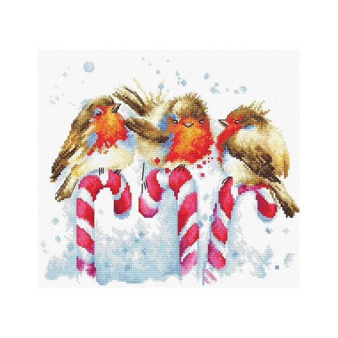 Siuvinėjimo rinkinys Luca-S Christmas Birds SB1154 23.5x20.2cm - kaSiulai.lt