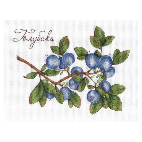 Siuvinėjimo Rinkinys MP Studija Blueberries SNV-617 15x20cm - kaSiulai.lt