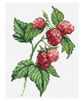 Siuvinėjimo Rinkinys MP Studija Branch of Berries SM-083 18x15cm - kaSiulai.lt