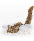 Siuvinėjimo Rinkinys MP Studija Cat in the Snow SNV-557 20x25cm - kaSiulai.lt