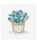 Siuvinėjimo Rinkinys MP Studija Succulent Splendour SM-381 11x11cm - kaSiulai.lt