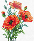 Siuvinėjimo rinkinys Poppy Flowers SANM-34 - kaSiulai.lt