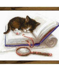 Siuvinėjimo rinkinys Riolis 1725 Kačiukas ant knygos - kaSiulai.lt