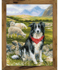 Siuvinėjimo rinkinys RIOLIS Border Collie 1767 30x40cm - kaSiulai.lt