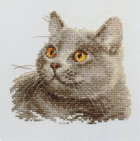 Britų katė – siuvinėjimo kryželiu rinkinys, 12×11 cm, Aida 14 ct, 13 spalvų