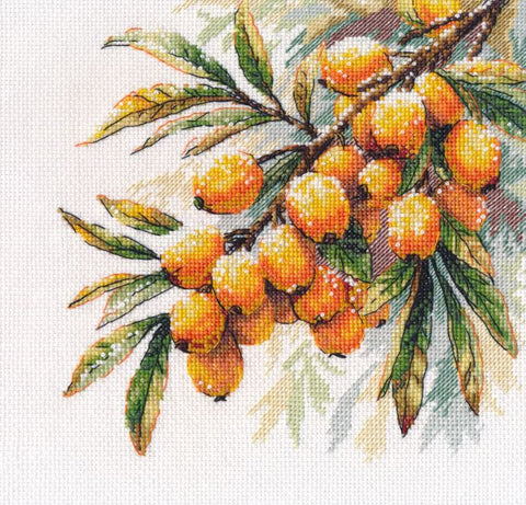 Siuvinėjimo kryželiu rinkinys „Šaltalankio šakelė“ 17 x 17 cm