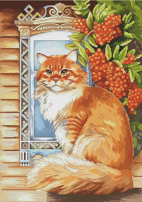 Siuvinėjimo kryželiu rinkinys „Ryžas katinas“, 26,5×37,5 cm, Aida 16 ct, 48 spalvos, SANR-59