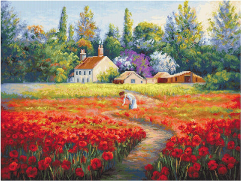 Siuvinėjimo petit point rinkinys 32 x 24 cm, 60 spalvų