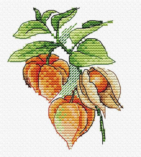 Rudens žibintas – siuvinėjimo kryželiu komplektas, Aida 14, 11×10 cm, 13 spalvų