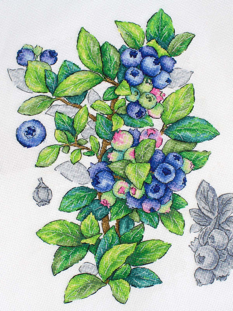 Mėlynių motyvų kryželių siuvinėjimo rinkinys, 28x20 cm, 31 Gamma spalva