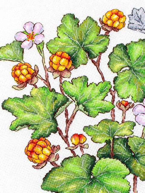 Kryželiu siuvinėjimo rinkinys „Šiaurinė uoga“ su uogų motyvu, 28 x 19 cm, 16 ct balta drobelė