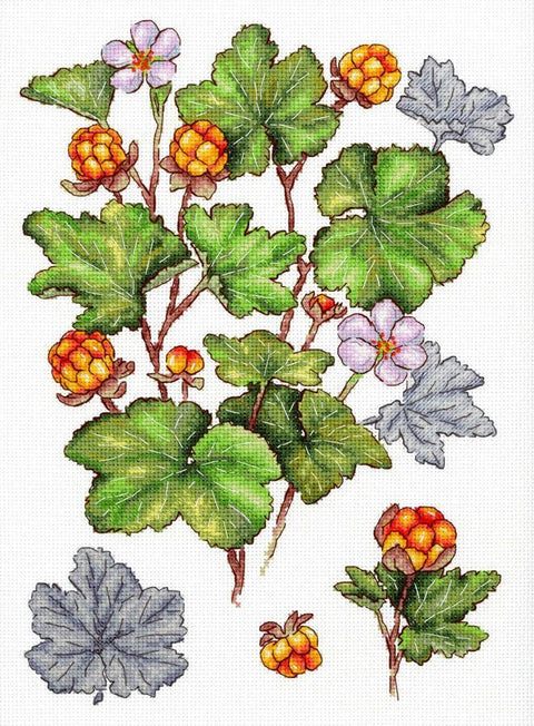Kryželiu siuvinėjimo rinkinys „Šiaurinė uoga“ su uogų motyvu, 28 x 19 cm, 16 ct balta drobelė