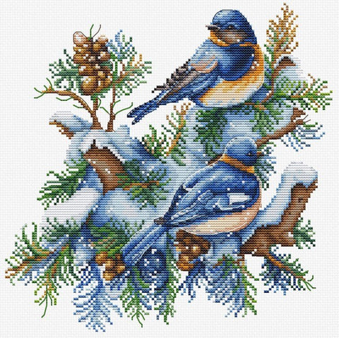 Siuvinėjimo rinkinys „Žiemos paukščiai“, 21×21 cm — puiki dovana - kaSiulai.lt