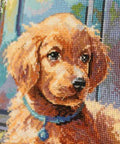 Skaičiuotas kryželių siuvinėjimo komplektas „Saulėtas prieangis“, 22×28,5 cm - kaSiulai.lt