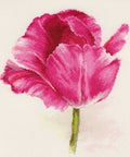 Tamsiai raudonos tulpės — siuvinėjimas kryželiu (Aida 16, 22×26 cm) - kaSiulai.lt