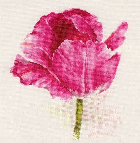 Tamsiai raudonos tulpės — siuvinėjimas kryželiu (Aida 16, 22×26 cm) - kaSiulai.lt