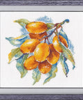 Žavi siuvinėjimo komplektas „Gintarinės uogos“, Aida №16, 15 spalvų, 15×15 cm - kaSiulai.lt