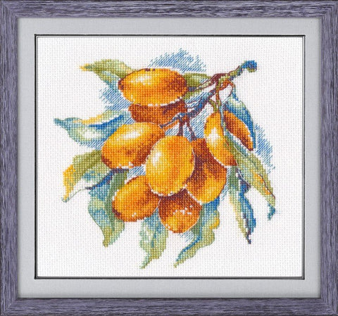 Žavi siuvinėjimo komplektas „Gintarinės uogos“, Aida №16, 15 spalvų, 15×15 cm - kaSiulai.lt